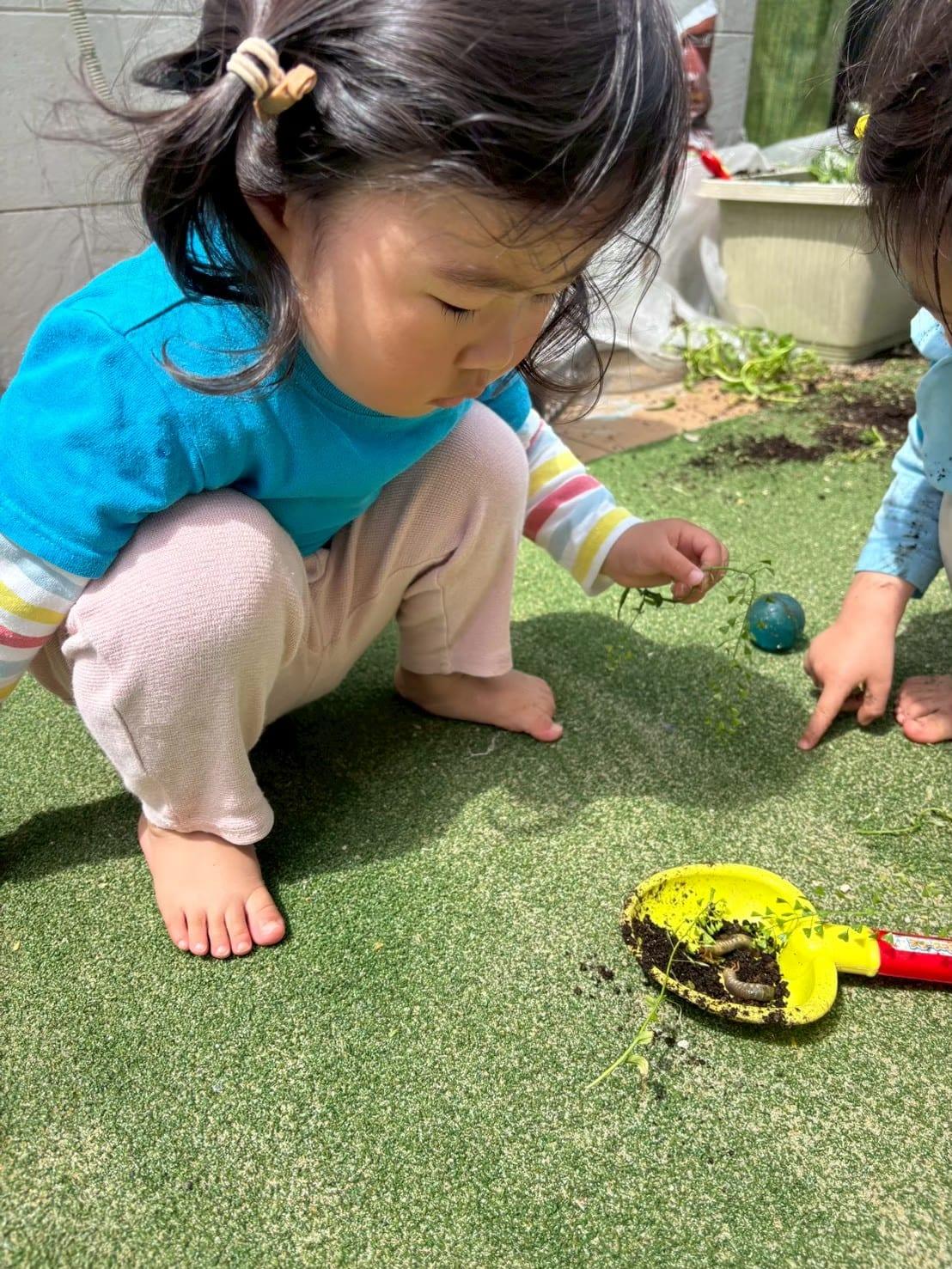 アルバム 8